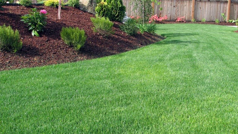 lawncare-and-landscaping-northern-kentucky-florence-cincinnati-ohio